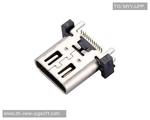 pg电子官方网站接口-关于pg电子官方网站接口的解析与应用探讨-pg电子官方网站接口